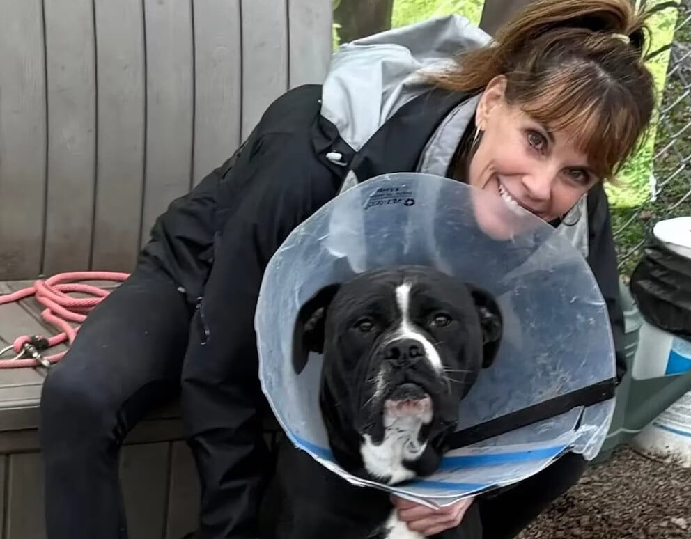 Actriz de “Baywatch” fue arrestada por irrumpir en una granja y rescatar perros usados en experimentos científicos