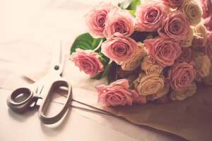 Florece tu Mejor Versión”: Downtown Center realizará taller de flores a cargo de Ededio Flores