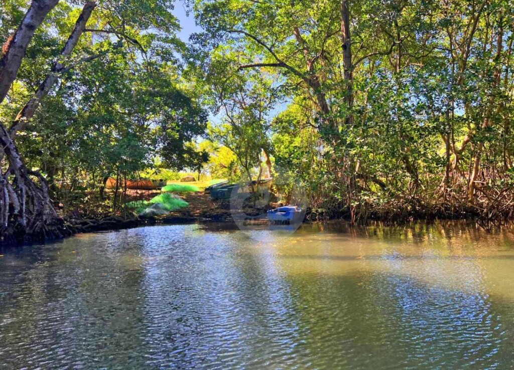 Entre manglares, aguas turquesa y escenarios únicos, la Laguna Gri-Gri ofrece una experiencia inolvidable en plena naturaleza en Río San Juan./Foto Jorge González
