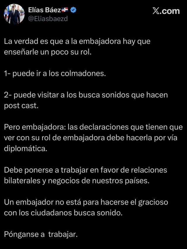 “¡Póngase a trabajar!”: Elías Báez arremete contra  embajadora de EE. UU. tras críticas al Gobierno
