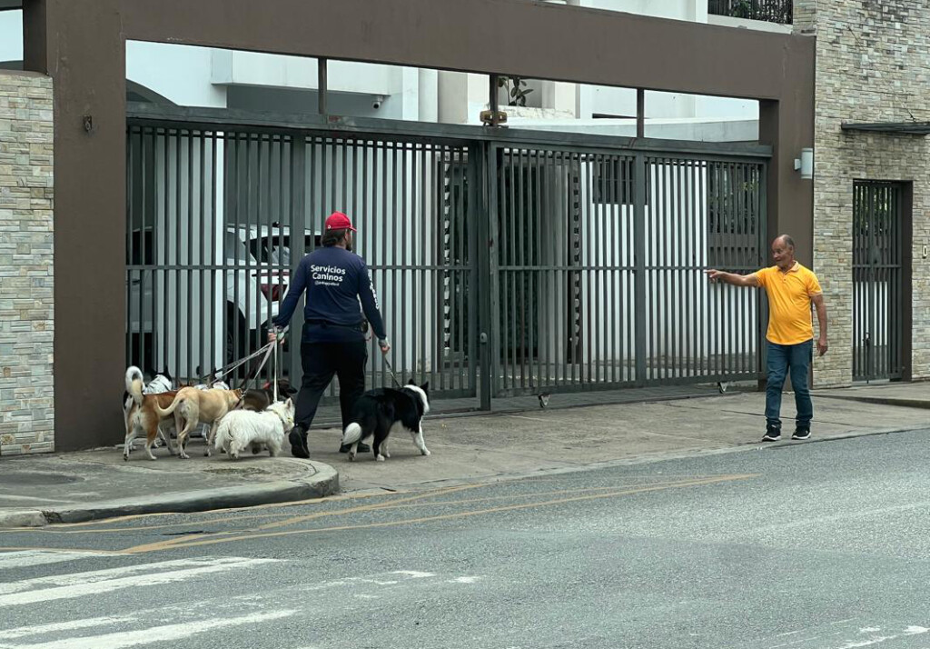 ¡Qué Bien! El auge del paseador de perros: La nueva cara del oficio en el corazón del Polígono Central del DN