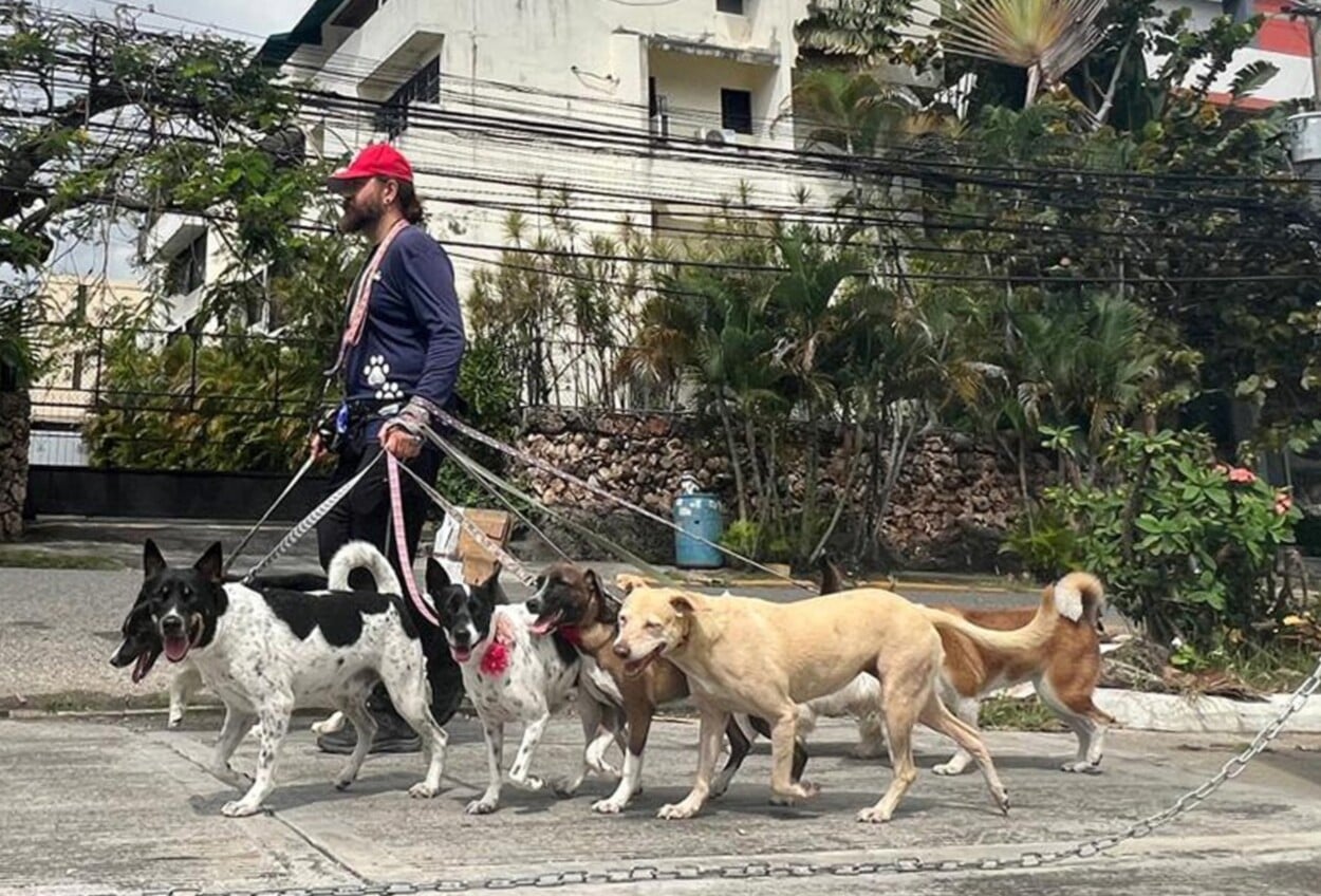 Paseador de perros 