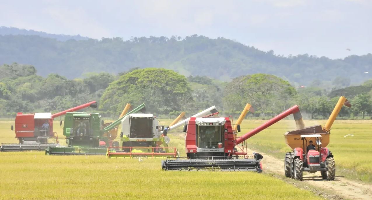 Cobertura agropecuaria de RD no crece en los últimos 10 años; promedia 88.3 %