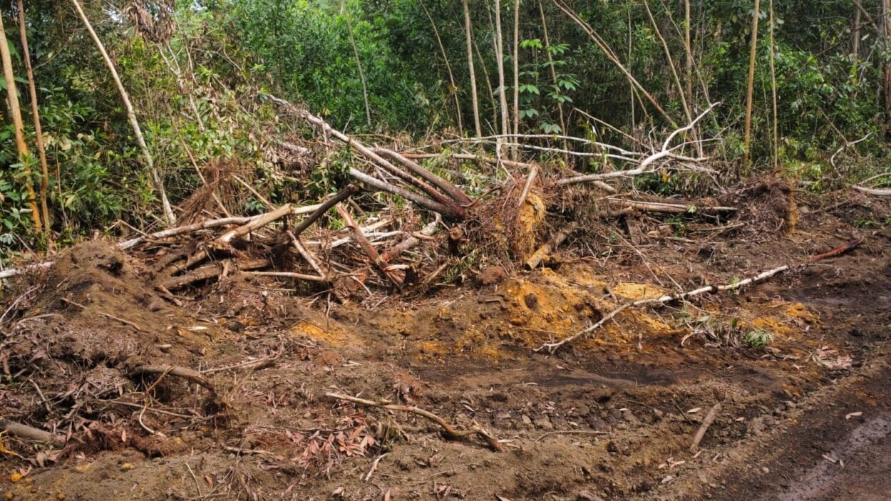 Bayaguana enciende velas contra los daños ecológicos en la Loma de Managua