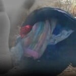 Interrogan familiares por muerte niña en Los Girasoles