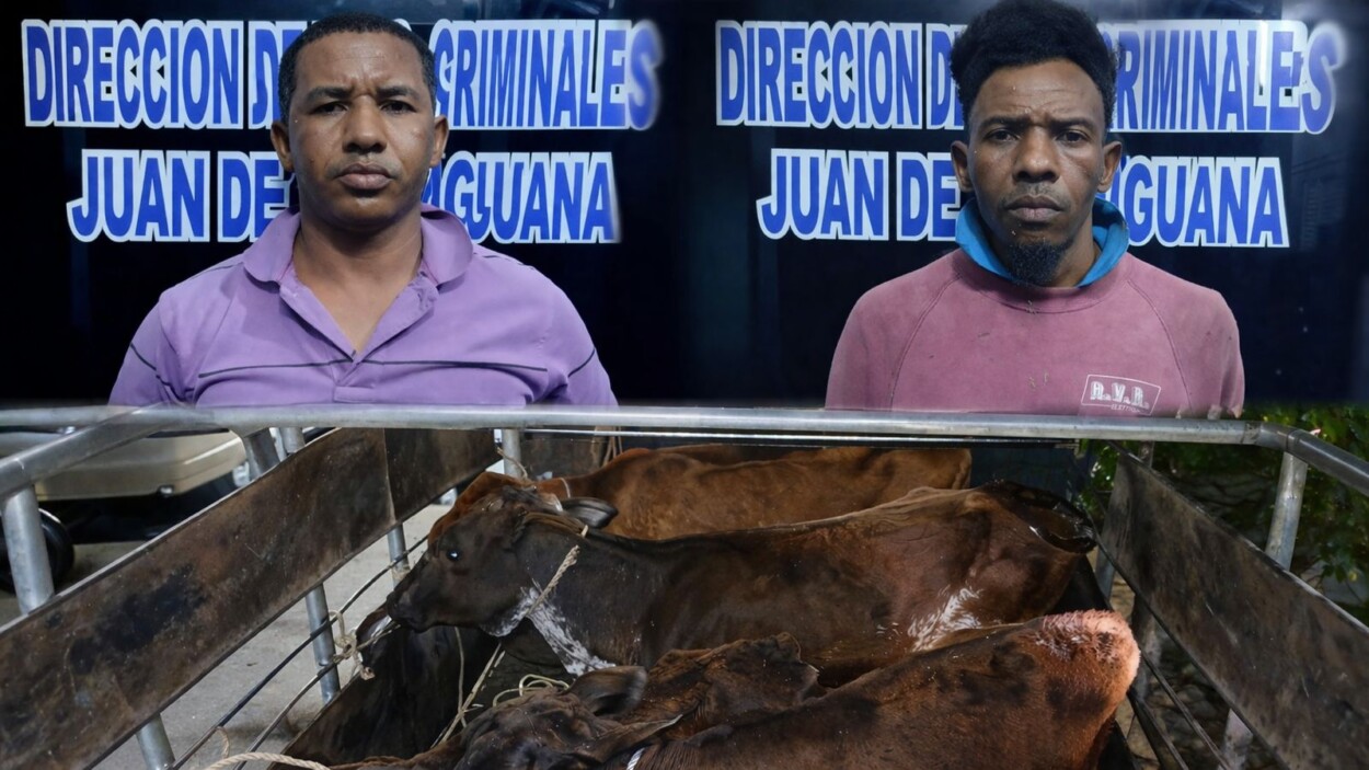 ¡Cuatreros! PN apresa a “Medina” y “Papito” por robo de reses en San Juan