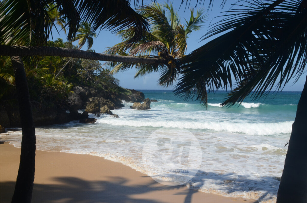 La belleza quimérica de playa Preciosa reside en su estilo surrealista y solitario./Foto Jorge González