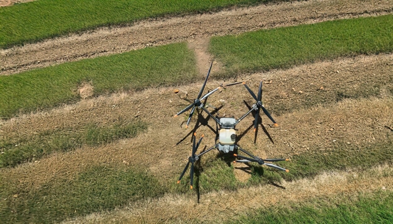 RD avanza en agritech y prácticas regenerativas, aseguran ejecutivos de PepsiCo