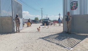 Pedernales lidera comercio fronterizo con Haití con ventas millonarias diarias