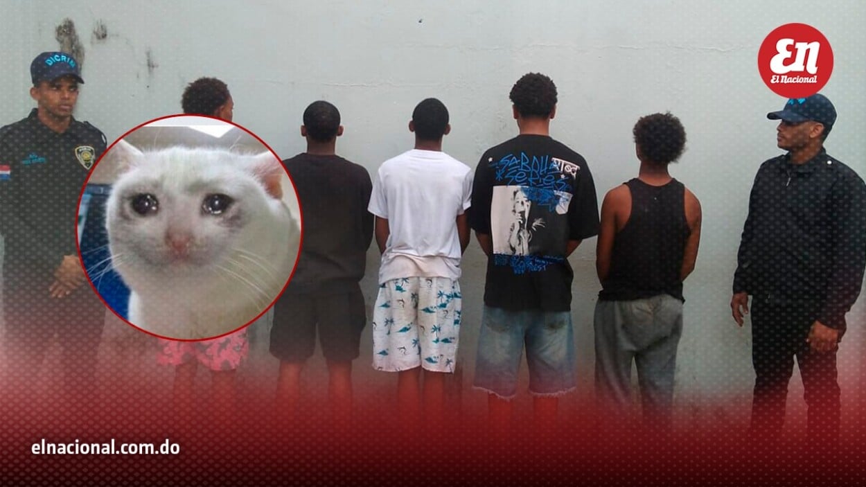 ¡Apresados! PN detiene a cinco jóvenes que prendieron fuego a un gato
