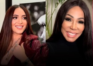 Pica y se extiende: Febles demanda a Yapoort por llamar prostíbulo a Miss RD