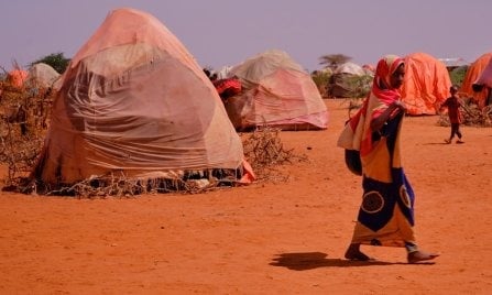 Más de 62,000 desplazados por sequía en Somalia según la OIM
