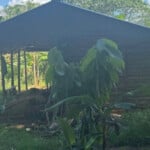 Policía rescata adolescente raptada y captura presunto responsable en Bonao