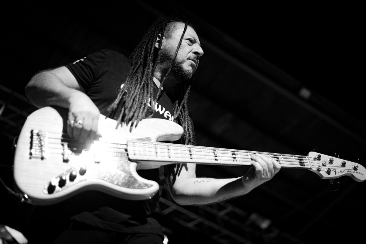 Gondwana llega por primera vez al país