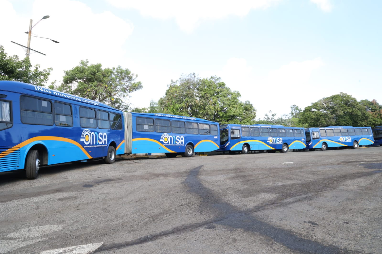 OMSA relanza su servicio con mejoras en flota y anuncia cambios para recuperar usuarios