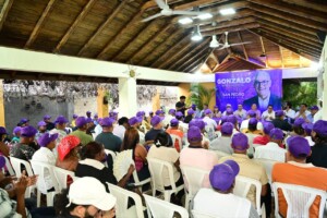 Proyecto de Gonzalo Castillo avanza con nuevas estructuras provinciales