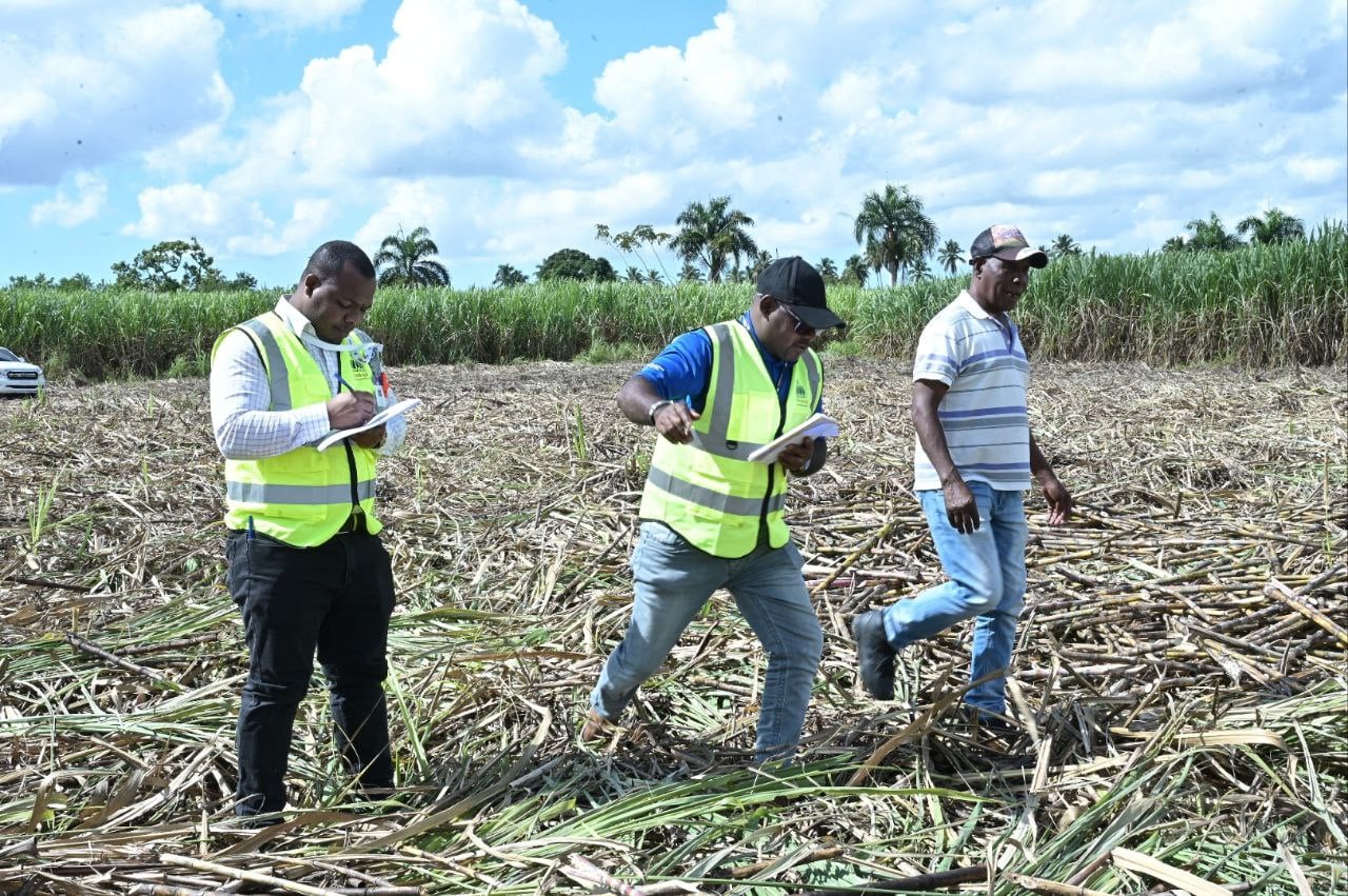 Gobierno refuerza acciones para erradicar el trabajo infantil en RD