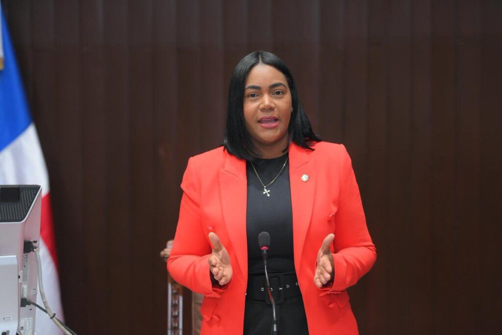 ¡A la justicia! Diputada Leyvi Bautista se querella por RD$100 millones contra comentarista y Grupo Alofoke por difamación digital