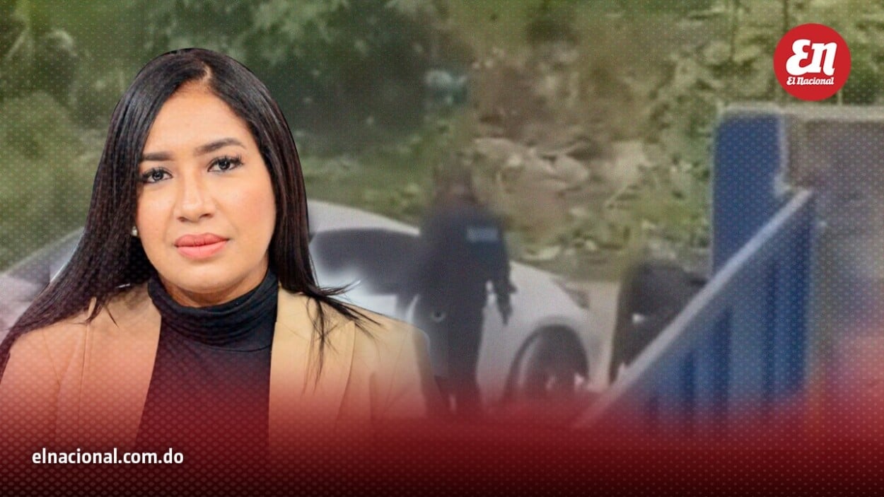 PLD rechaza ejecuciones policiales y llama a fortalecer prevención de violencia