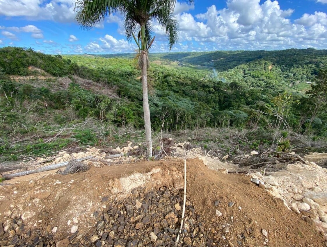 En Monte Plata: Denuncian tala y remoción de suelos en zona donde nacen afluentes del río Boyá