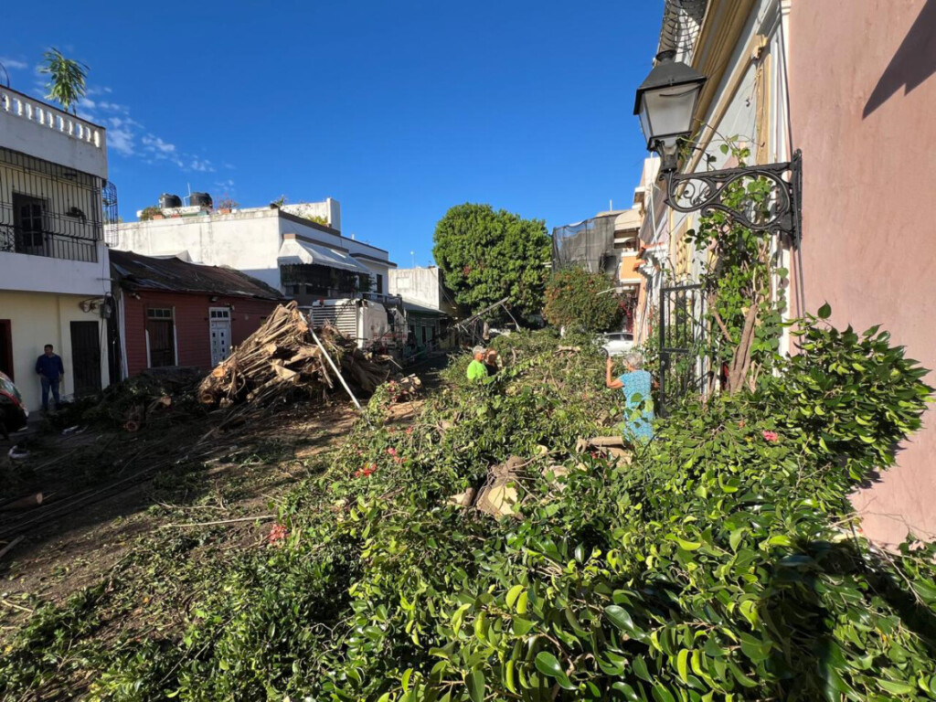  Antes y durante de un ventarrón, se recomienda alejarse de ventanales, evitar refugiarse bajo árboles viejos y asegurar objetos sueltos en techos o balcones que puedan ser proyectados por el aire.
