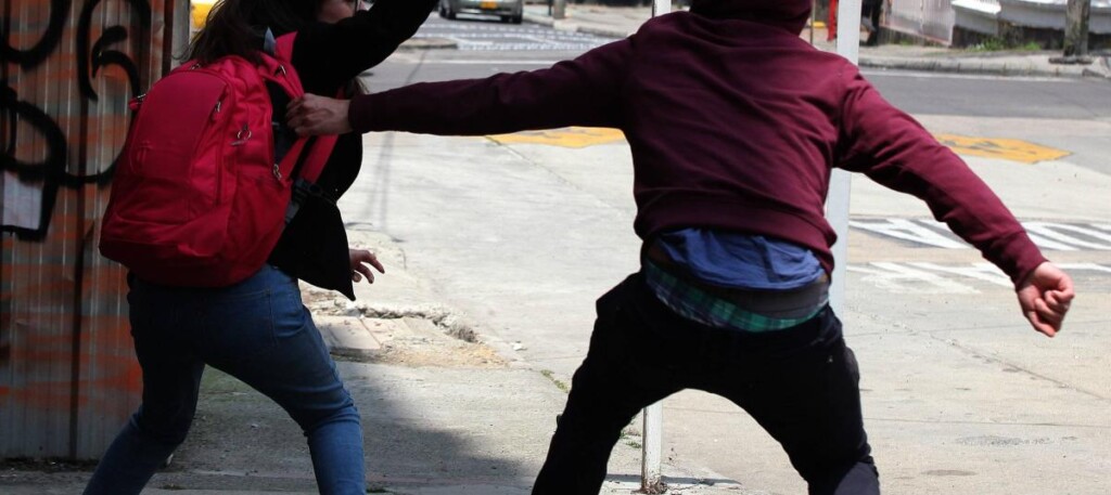  La inseguridad ciudadana que predomina desde hace algún tiempo en el país, con su secuela de robos, atracos, crímenes, tráfico de drogas, fraudes bancarios. 