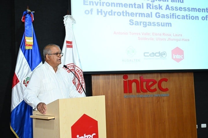 Buenas nuevas!: Investigadores obtienen energía del sargazo y logran separar el arsénico del alga