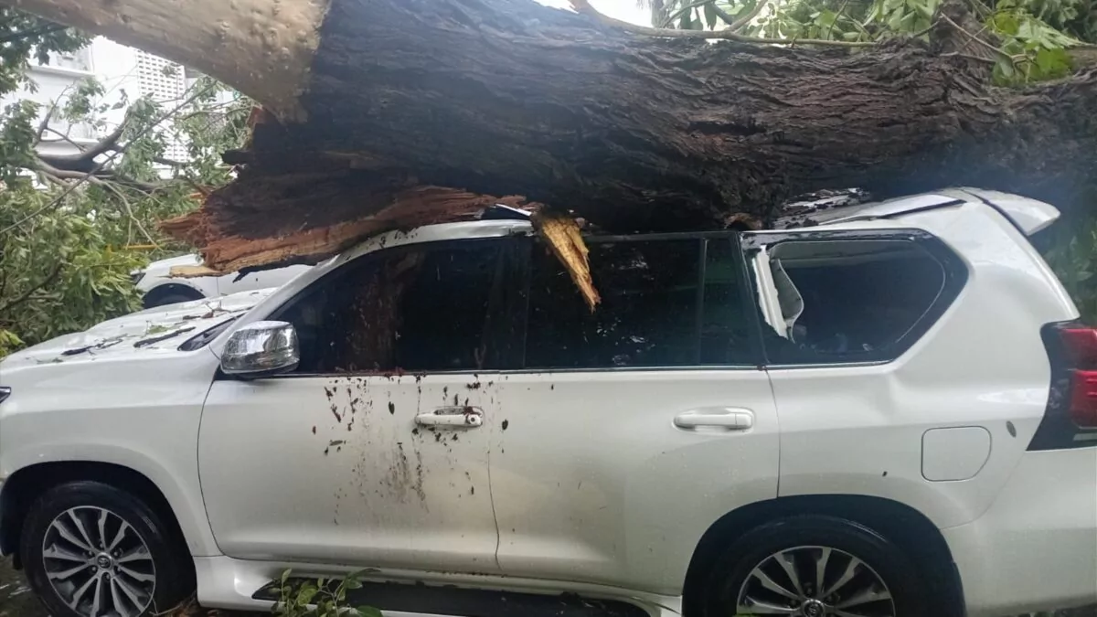 COE emite alerta roja para Puerto Plata y mantiene a gran parte del país bajo vigilancia