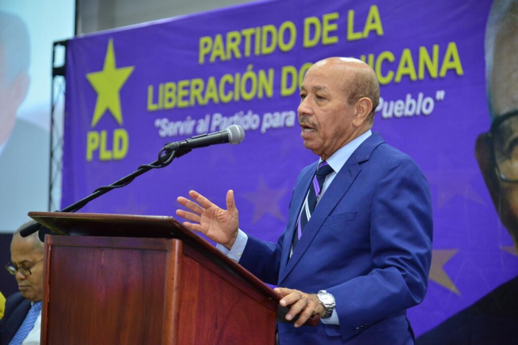 PLD entiende que de parte del Gobierno han faltado iniciativa para contrarrestar los efectos de la crisis internacional.