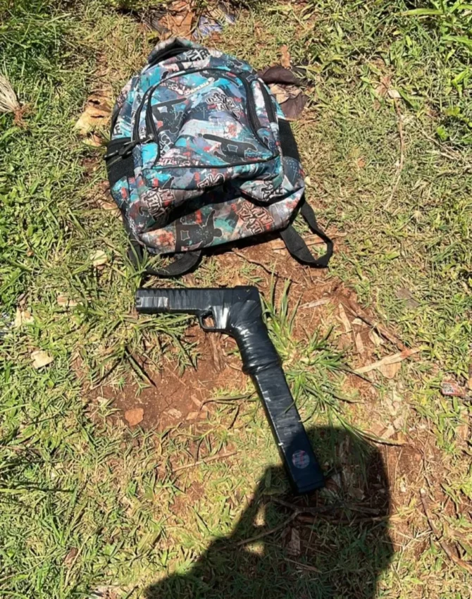 Emmanuel Paulino, alias “El Gordo”, quien era buscado mediante orden de arresto por su presunta vinculación a múltiples atracos y robos