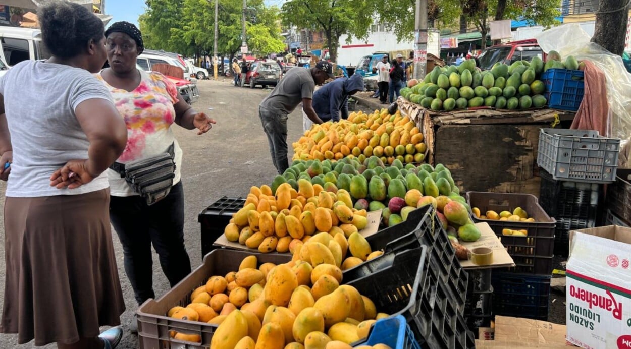 Temporada de mangos  