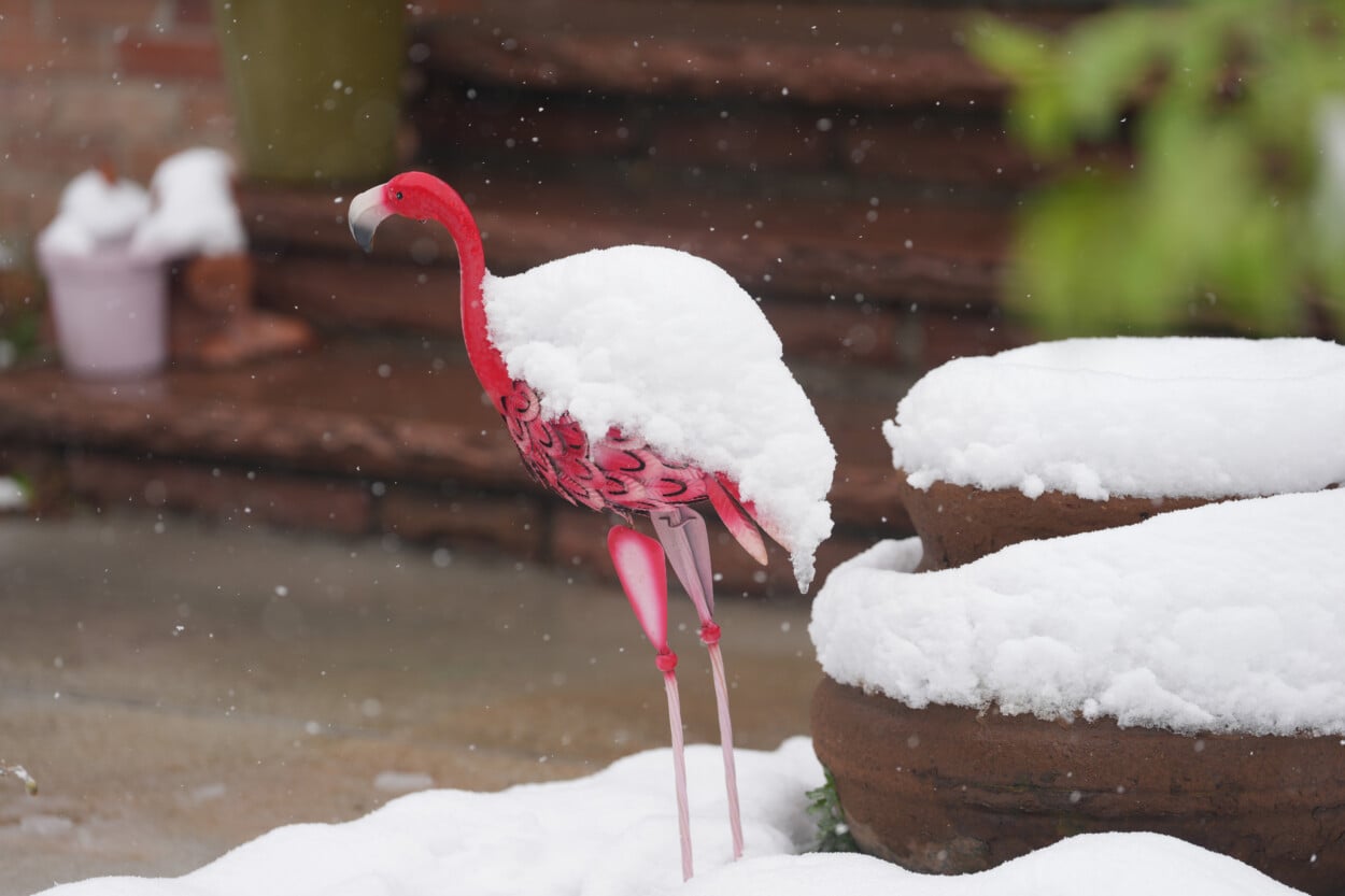 Tormenta de nieve tardía azota Colorado, cierra escuelas y afecta a viajeros