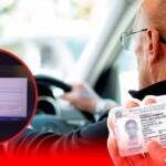 Gobierno pide al TSA archivar amparo contra decreto sobre licencias de conducir a mayores de 65 años