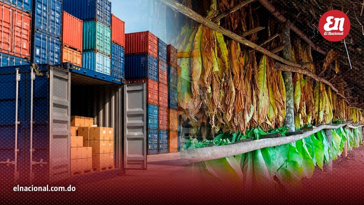 Tabaco lidera exportaciones agro de RD; es el único en superar los US$1,000 millones anuales