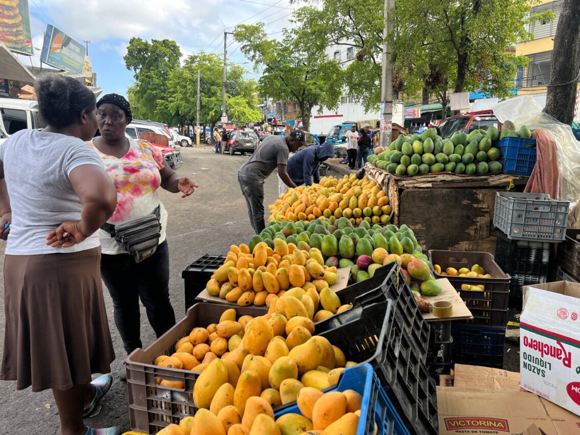 Colores, sabores y olores: Así se vive la temporada de mangos en el Mercado Nuevo de la Duarte