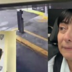 Arrestan al motorista que lanzó pedradas contra vehículo de Luly Rocha