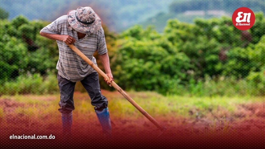 Trabajadores-agricolas-El-Nacional-Alexis-Alvarez