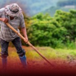 Día del Agricultor encuentra al sector con poco crecimiento laboral: apenas 125 nuevos cotizantes