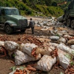 Desastre agrícola en Tireo y Constanza: Cosechas arruinadas por lluvias