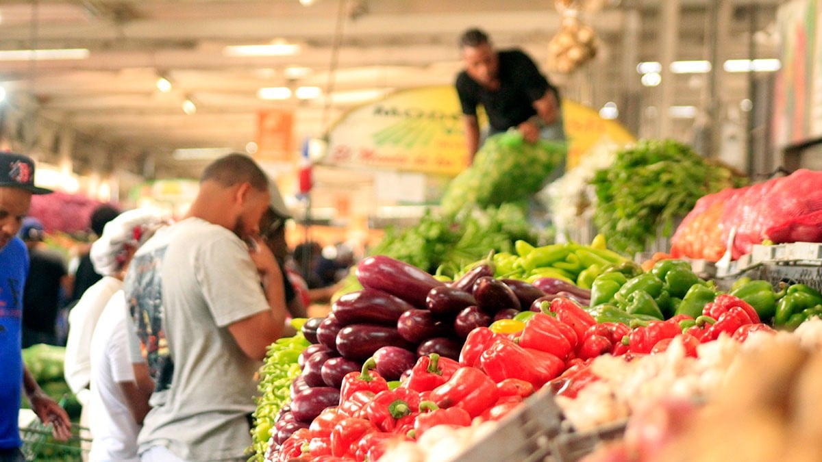 Economista advierte sobre desaceleración de la economia dominicana