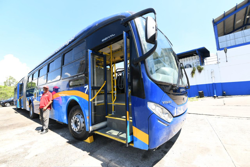 La licitación para pintar 31 autobuses de la Omsa genera debate sobre transparencia y supervisión pública.
