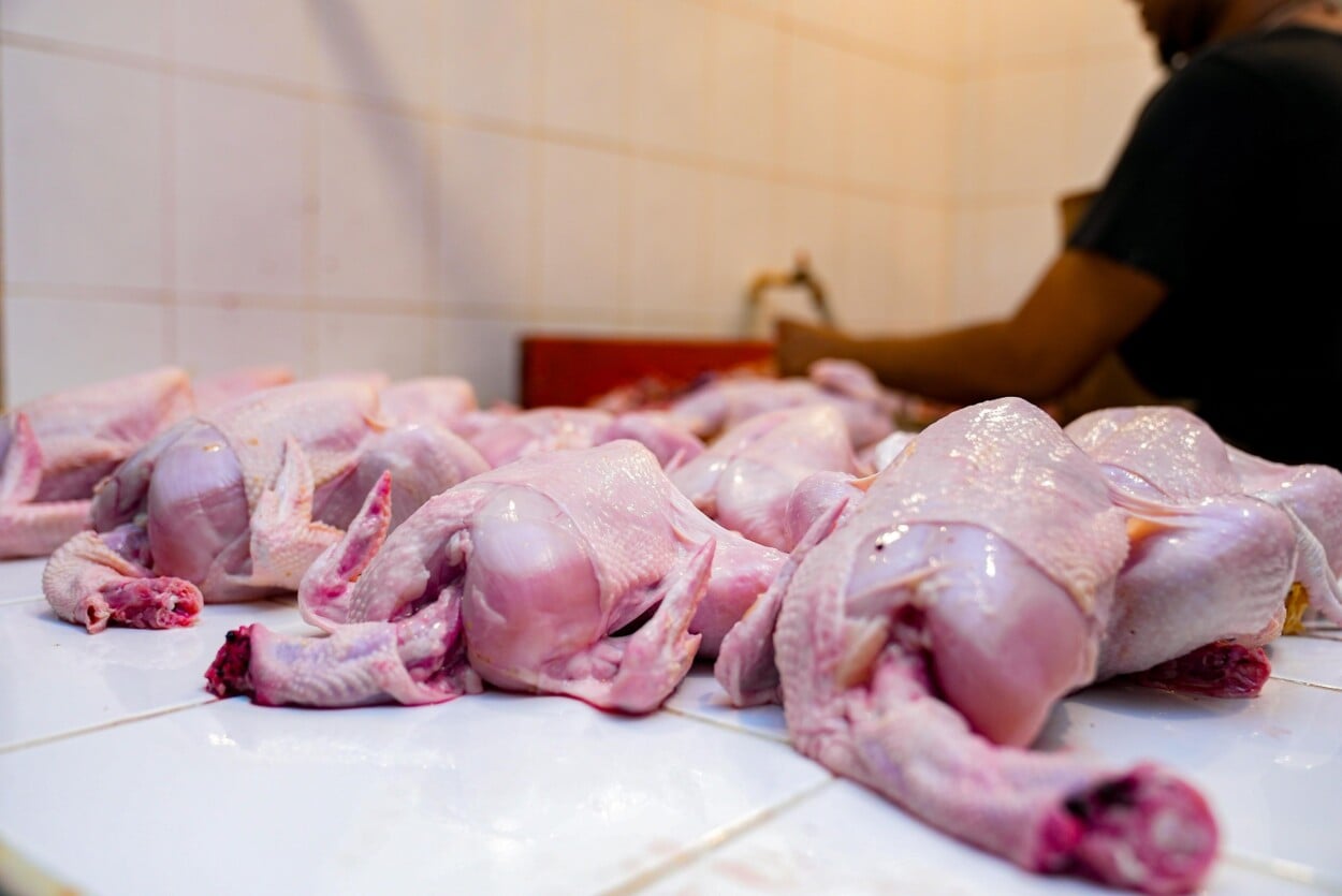 Precio del pollo muestra baja y llega hasta RD$55