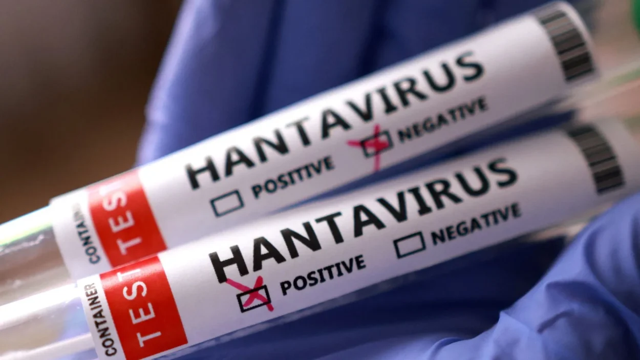 ¿Cómo se transmite el hantavirus? OMS responde ante brote en crucero MV Hondius