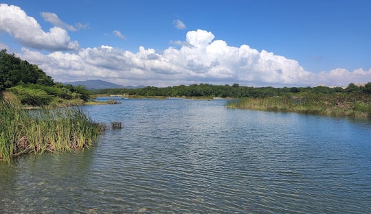 COE prohíbe bañarse en río Nizao